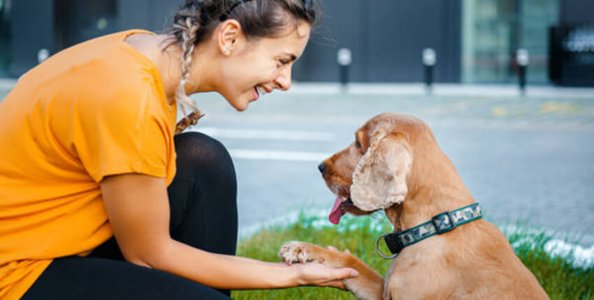 Pets benefit our mental health